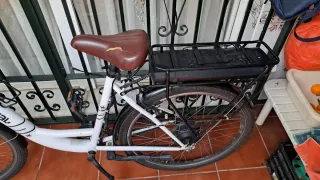Bicicleta Eléctrica Waycscra
