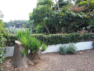 Casa pareada en alquiler en Playa Jardín en Puerto de la Cruz
