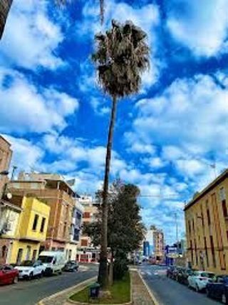 Piso en alquiler en Playa Puerto de Sagunto en Sagunto