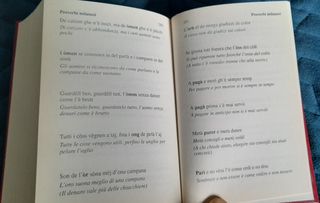 Dizionario Italiano/Milanese/Italiano