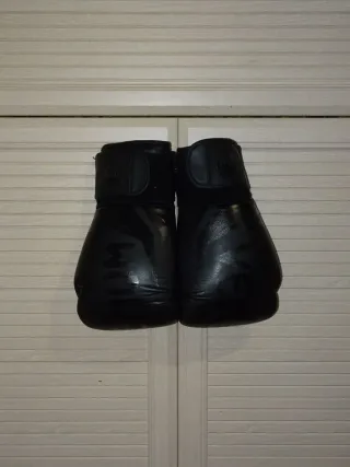 Guantes de boxeo Venum 10 oz