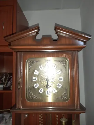 Reloj de pie antiguo para reparar