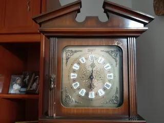 Reloj de pie antiguo para reparar