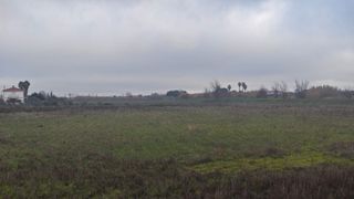 Parcela rústica en Las Arenas