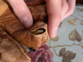 Guantes de esquí WED'ZE Marrón Talla 2XL