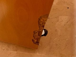 Canapé de madera de 160x190