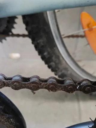 Bicicleta Infantil 20" pulgadas. 6-9 años