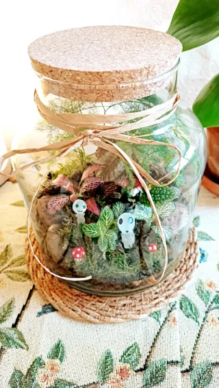Terrario Kodama. Jardín eterno