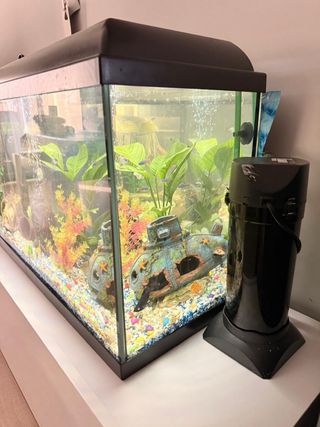 Pecera completa con accesorios