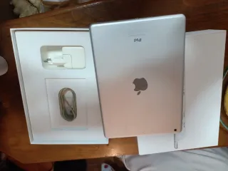 Apple iPad Plata/Blanco