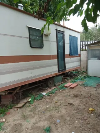 Vacidos