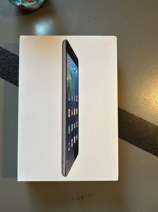 iPad Mini Gris Espacial