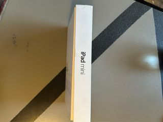 iPad Mini Gris Espacial