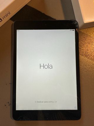 iPad Mini Gris Espacial