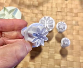 Set 10 stampi cake design o pasta modellabile