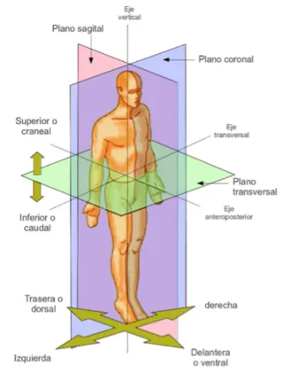 Servi ios de entrenamiento personal