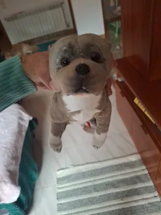 Peluche perro pitbull realista