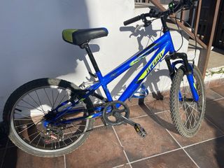 Bicicleta Infantil 20 Azul