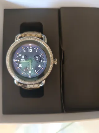 Reloj Festina Mujer Smartwatch Beige/Plata