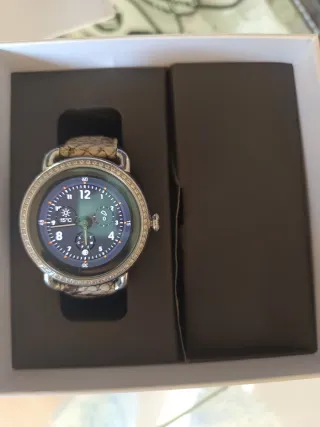 Reloj Festina Mujer Smartwatch Beige/Plata