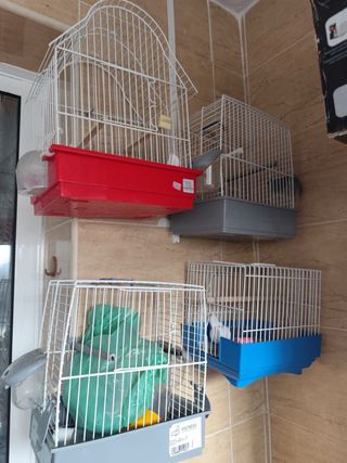 Jaulas para pájaros blancas y rojas