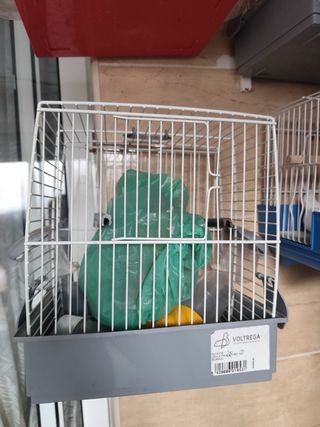 Jaulas para pájaros blancas y rojas