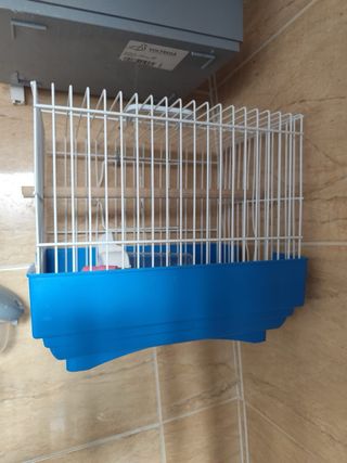 Jaulas para pájaros blancas y rojas