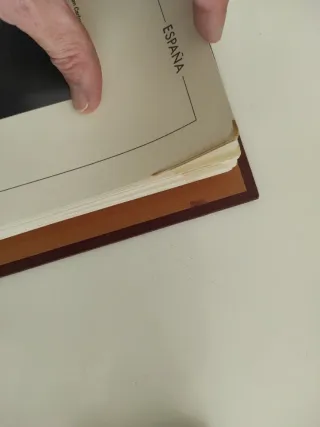 Suplemento Hojas Sellos Edifil 1975-1980 + album