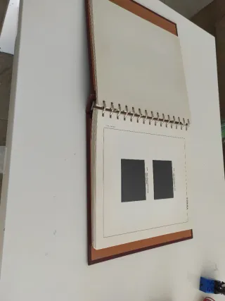 Suplemento Hojas Sellos Edifil 1975-1980 + album