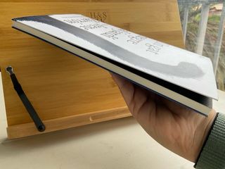 Un gat negre al jardí