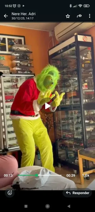 Disfraz de El Grinch