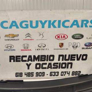 PARAGOLPES DELANTERO RENAULT CLIO NUEVO 107193108