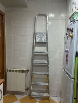 Escalera 6 peldaños aluminio