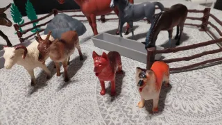 Set animales de granja con cubo