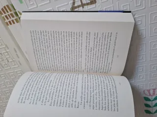 Caricias del infierno (Trilogía del Fuego Sagra...