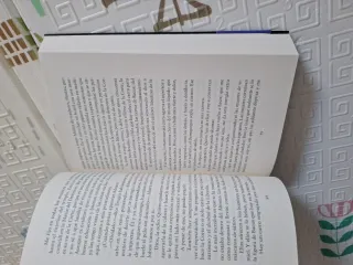 Caricias del infierno (Trilogía del Fuego Sagra...