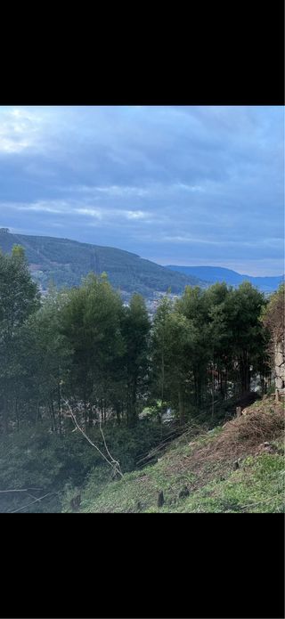 Madera para leña o manualidades en Redondela