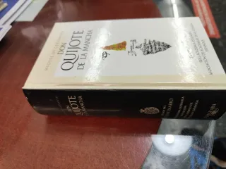 Libro Don Quijote, de las Academias