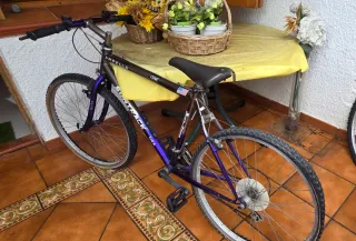 Bicicleta Suntrak Morada ..UBICACION RODA DE BARA