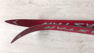 Esquís de fondo Dynastar Fjord