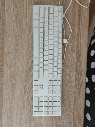 Teclado Apple A1243 (USB) - Layout international