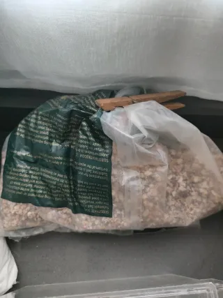 Acuario de cristal pequeño