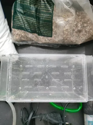 Acuario de cristal pequeño