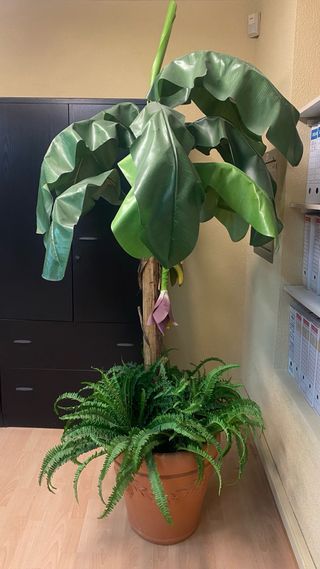 Platanera Artificial Decorativa