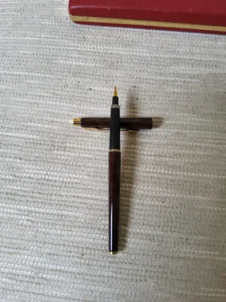 Pluma Estilográfica Parker Marrón