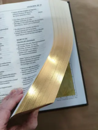 Preciosa Biblia de Jerusalén Ilustrada 5 edición