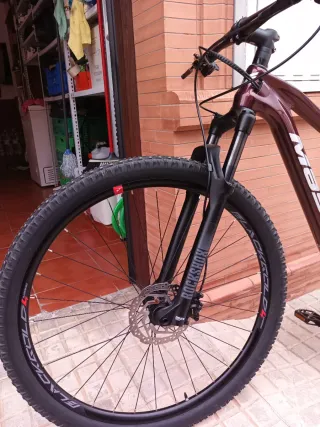 Bicicleta Massi Team Carbono Talla S
