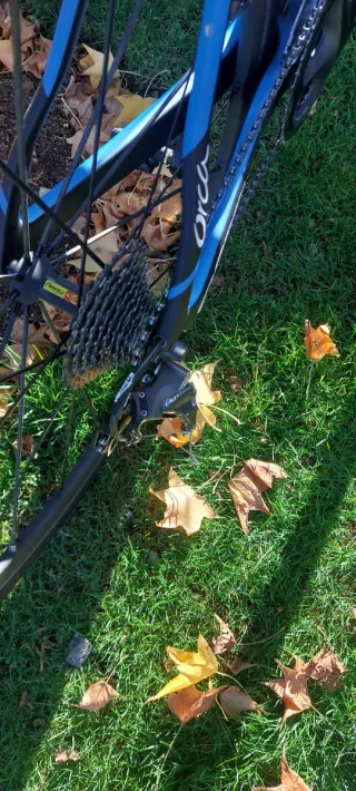 Bicicleta Carretera Orbea Orca Carbono