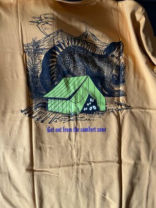 Camiseta Pull&Bear gráfica