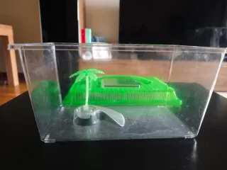 Pecera o Tortuguera Transparente y Verde